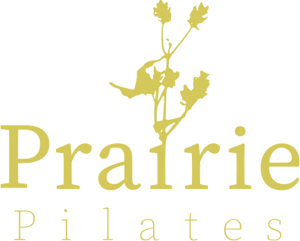 Prairie Pilates gold logo, a thistle grows out of the I in the middle of the word prairie.